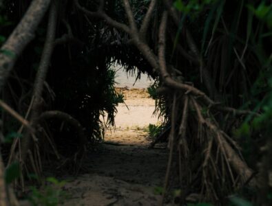 oceanvilla-tokunoshima_facilities&amenities7